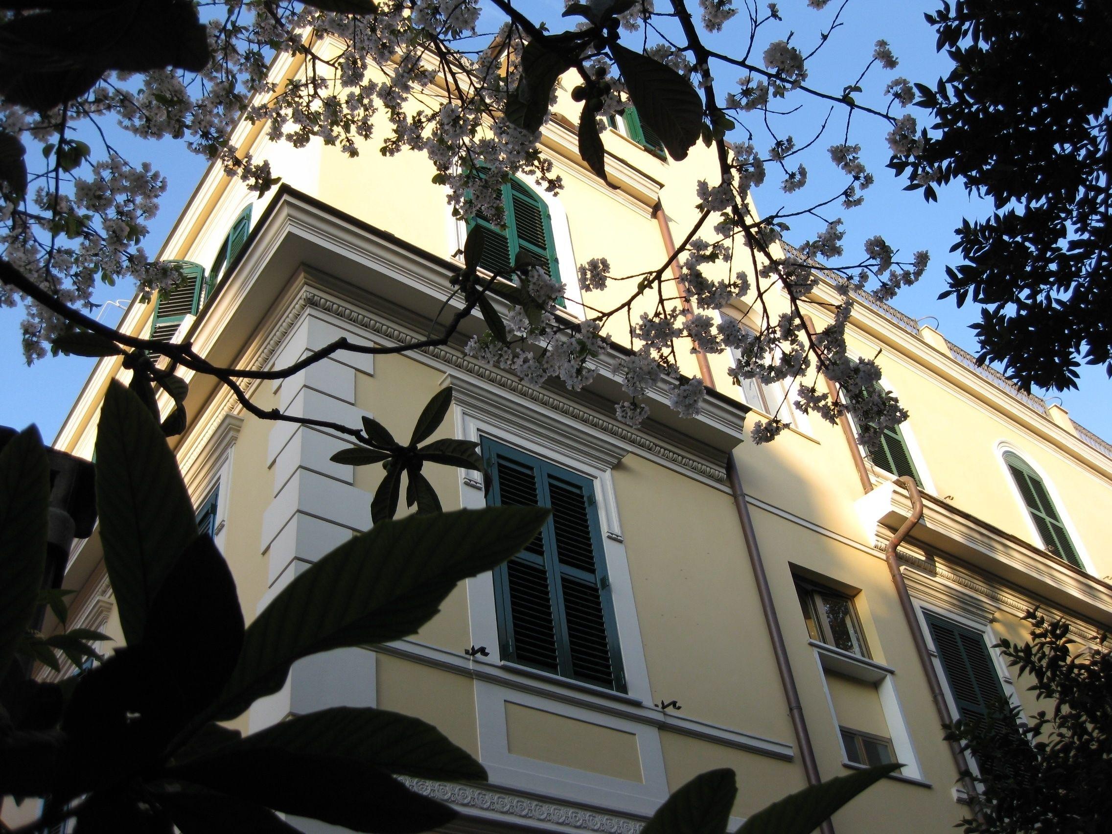 La Rotella Nel Sacco — Foto 1